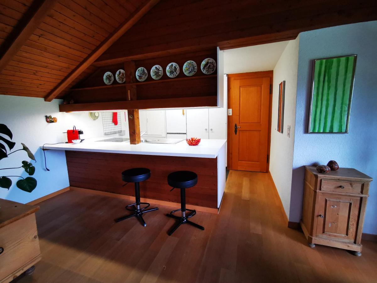 Marmottin Apartment Lucerne Bagian luar foto